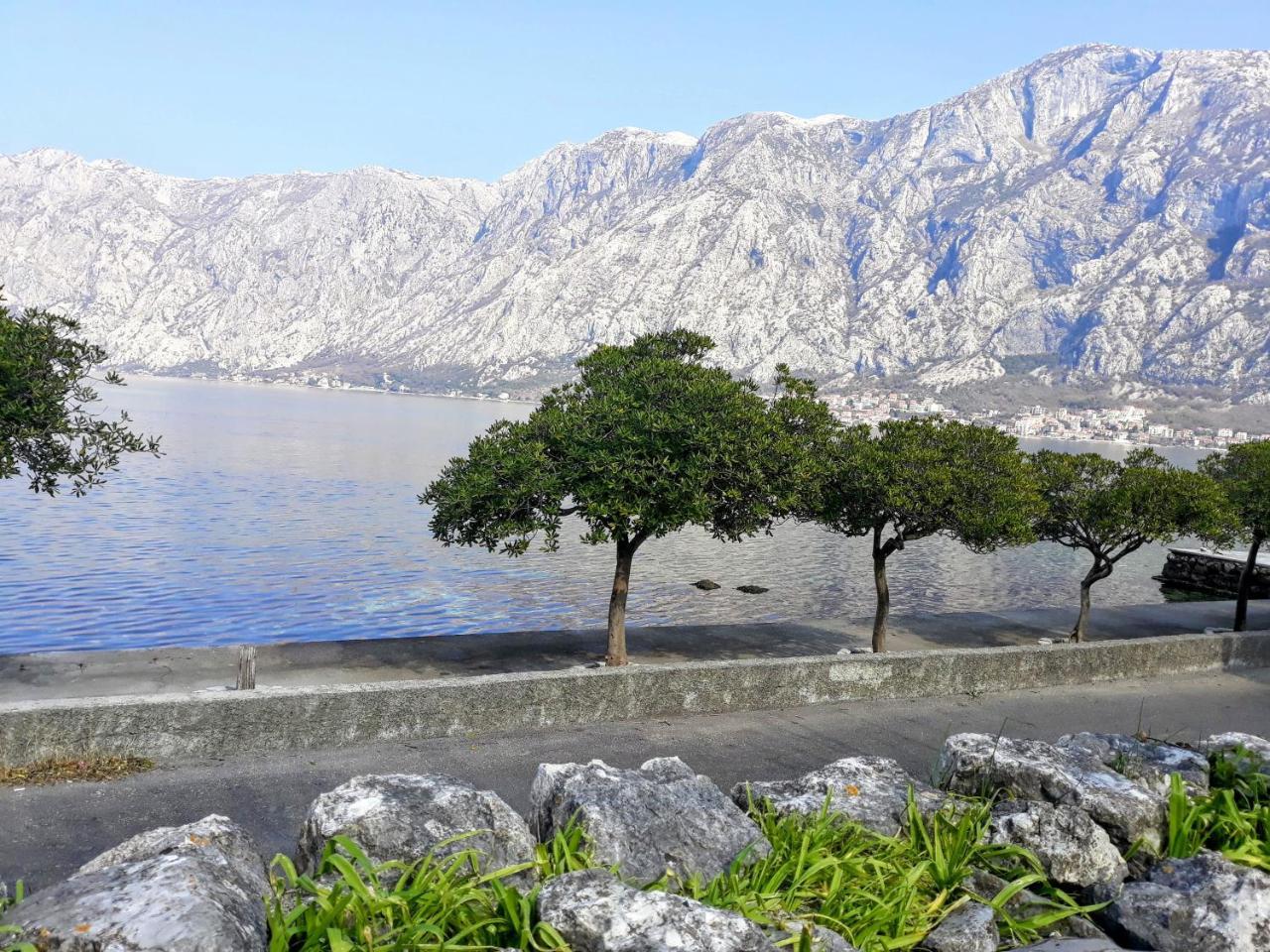 Apartments Popovic Kotor Exterior photo